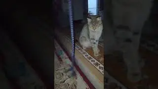 ۲۲ دسامبر ۲۰۲۵