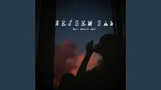 NEJSEM S&Aacute;M