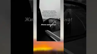 Жизнь прекрасна, жаль только..... 