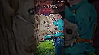#showlife
