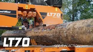 LT70 | See it in Action | Wood-Mizer Europe
