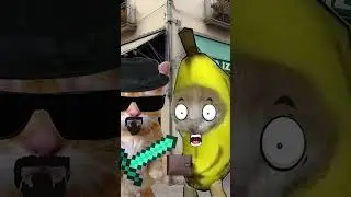 BANANA CAT 🍌🐱 PRAYED 🙏 TO DIVINE CAT 😼 FOR GOOD LUCK 🍀