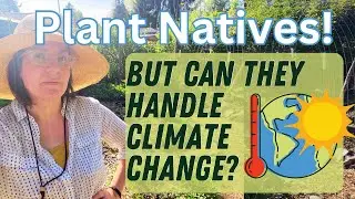 Are Non-Native Plants Better in a Warming Climate?