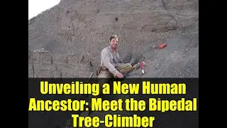 Unveiling a New Human Ancestor: Meet the Bipedal Tree-Climber