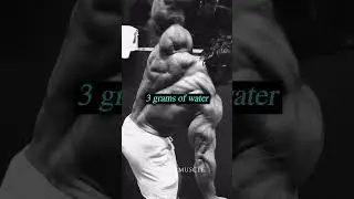 Mike Mentzer explaining the connection between carbs, water and muscle tissue! #mikementzer #water