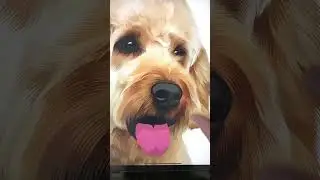 Infinite zoom using endless paper.