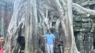 TAP PROHM TEMPLE , CAMBODIA 