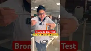 Bromide Ion Test 🔬 | 2nd PUC Chemistry Practical Experiment ⚡