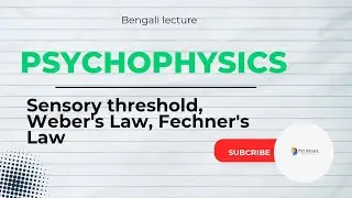 Psychophysics in Bengali | Weber's- Fechner's Law | Sensory threshold