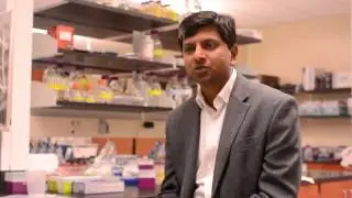 Engineering a Cure: Samuel Ginn College of Engineering's Tiger Giving Day