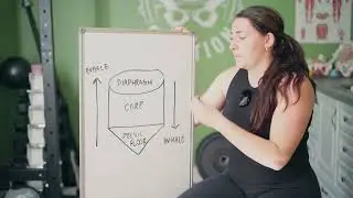 How your pelvic floor, core, and diaphragm are connected.