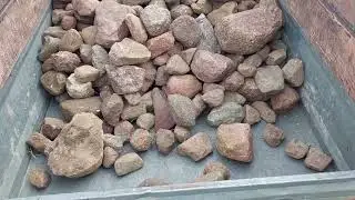 Kamienie pod tuje