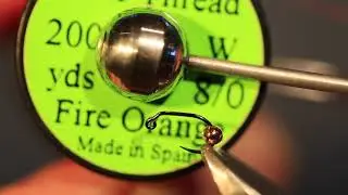 Size 20 pheasant tail Jig
