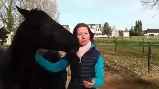 Trainervorstellung Sandra Schneider