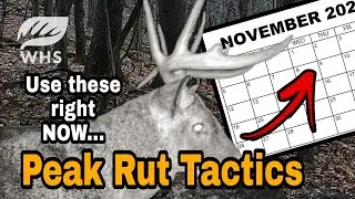 How To Bowhunt The Peak Rut