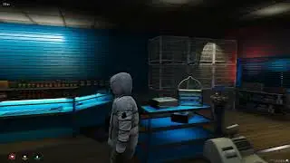 FiveM Pet Shop MLO for Liberty City/New York City