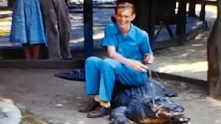 The California Alligator Farm - Los Angeles, California (8mm)