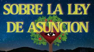 SOBRE LA LEY DE ASUNCION  - TEXTO PERSONAL DE MARCOS SANZ