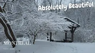 Morning Walk _ First Snowfall in Montreal! #montreal #snowfall #winterincanada