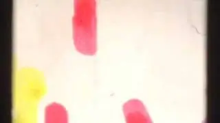 Direct Animation