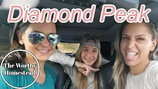 Diamond Peak Won