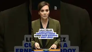 Lilly T&eacute;llez CUESTIONA a Ernestina Godoy
