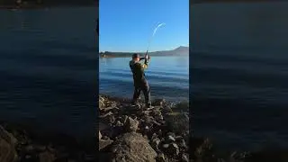 CHEAP CRABBING SETUP #shorts #fishing #crab #crabbing #fish
