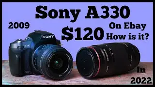 Sony A330 $120  Photo and Thoughts