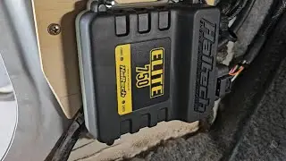 E-SERIES FORD GETS A HALTECH!
