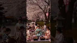 AI Reimagined Japan&rsquo;s Most Beautiful Festival 🌸 | Hanami Like Never Before