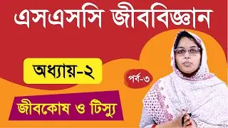 জীবকোষ ও টিস্যু | নিউক্লিয়াস। অধ্যায়-২ পর্ব ৩ | এসএসসি জীববিজ্ঞান | SSC Biology
