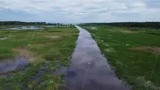 Aquatic ecosystem. Habitat of waterfowl. Aerial flight over river mouth as it runs out into lake