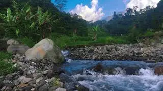 Tranquil River Stream &ndash; 10 Hours of ASMR for Focus, Relaxation & Peace