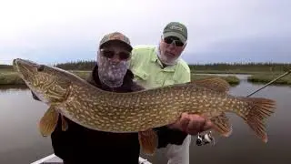 Pike Fishing at Saskatchewan's Minor Bay Lodge