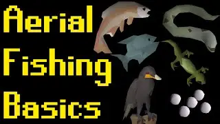 Basic Aerial Fishing Guide 2021 (OSRS)
