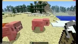How to use Name Tags in minecraft 1.6.2