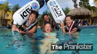 Types of PADI Divemasters