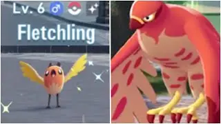 Shiny Fletchling Talonflame Pokemon Legends ZA Shiny Hunting