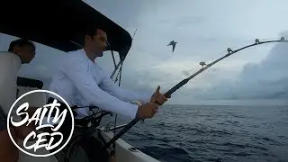 Silvertip Shark Catch and Release