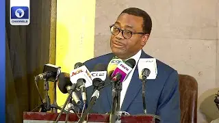 [Full Speech] AfDB To Establish $100m Investment Bank For Nigerian Youths  - Adesina