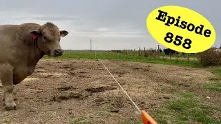 Отличная работа, ребята!