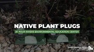 Native Plant Plugs At Four Rivers Environmental Education Center