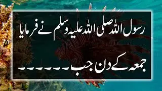 jumma mubarak status | Hadees Whatsapp Status | Urdu Hadees Status | Jumma Mubarak Hadees