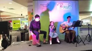 BMAS Paradise Park Concert 15 Dec 2013 Fay