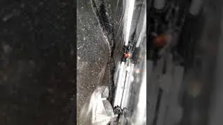 BLACK WIDOWS ALL OVER MY HOUSE