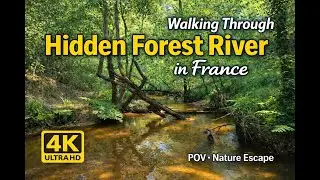 Walking Through a Hidden Forest River in France | POV Nature Escape in 4K