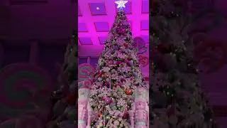 Walnut Room Christmas Tree 🎄 inside Macy&rsquo;s Marshall Fields on State Street in Chicago Illinois