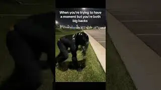 Memes I found on discord (Pt. 8)