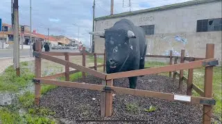 Agricultural City in Portugal for Desi Community - Portugal Pegoes City