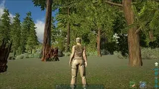 ARK exploration